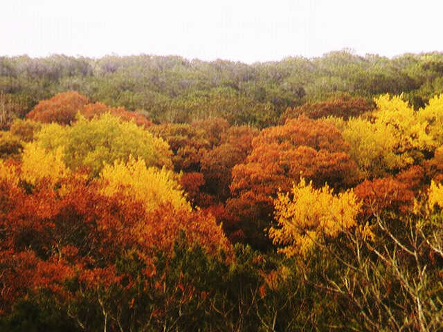 Fall at Medina Lake