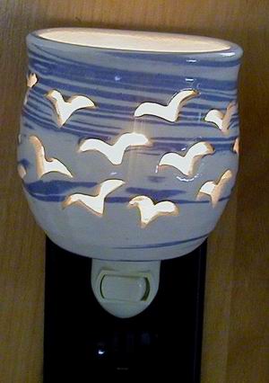 Birds Night Light day