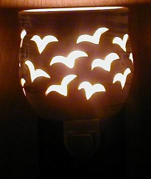 Birds Night Light night