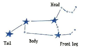 Diagram of Leo